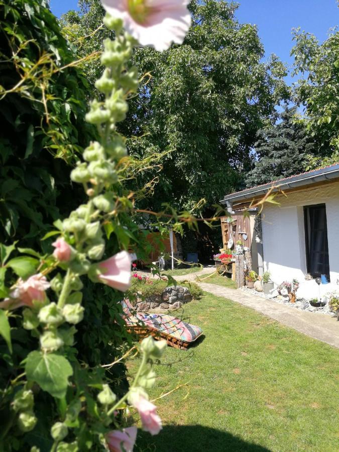 Bungalow Bei Warnemuende Elmenhorst/Lichtenhagen Extérieur photo